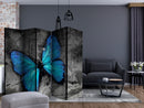 https://www.fotoartgeist.pl/ebaytemp/parawan/g-C-0195-z-c/g-C-0195-z-c-ebVis2.jpg