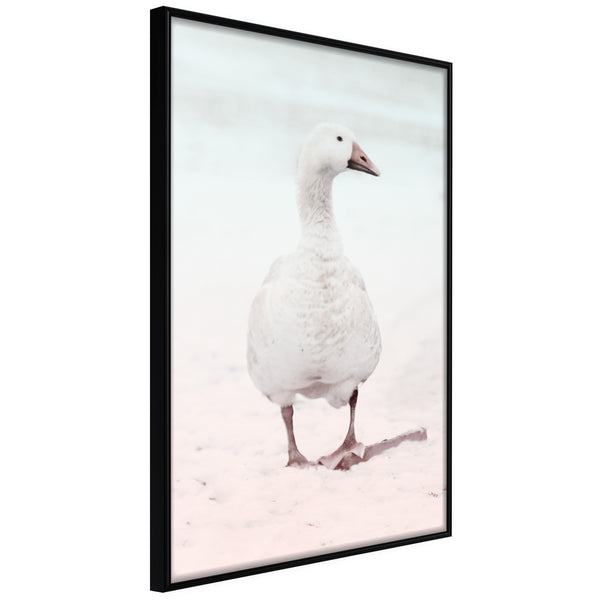 Poster - Walking Goose  - zwart