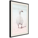 Poster - Walking Goose  - zwart passepartout