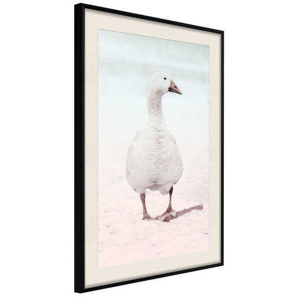 Poster - Walking Goose  - zwart passepartout