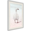 Poster - Walking Goose  - wit passepartout