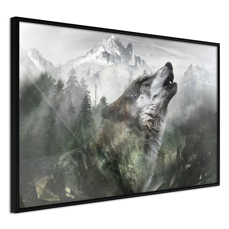 Poster - Wolf's Territory  - zwart