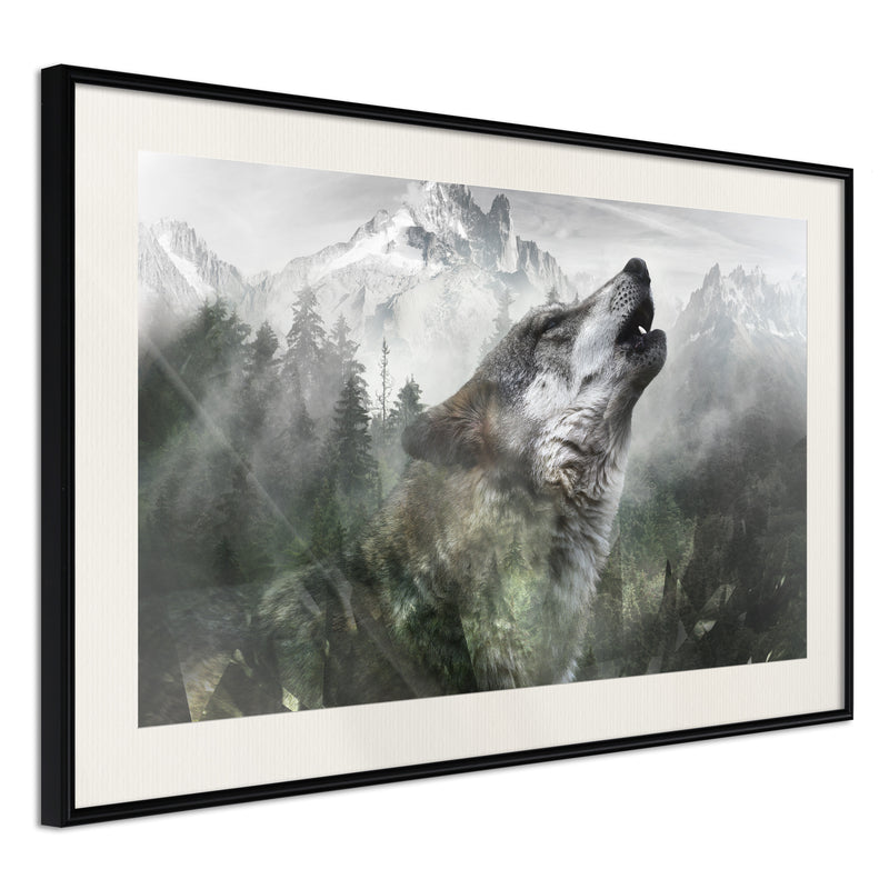 Poster - Wolf's Territory  - zwart passepartout