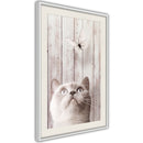 Poster - Piercing Look  - wit passepartout