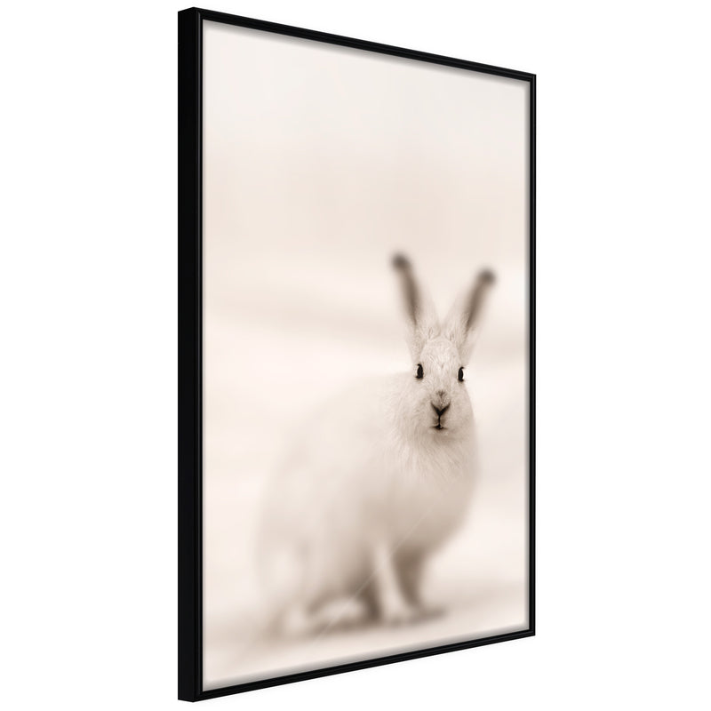 Poster - Curious Rabbit  - zwart
