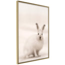 Poster - Curious Rabbit  - goud