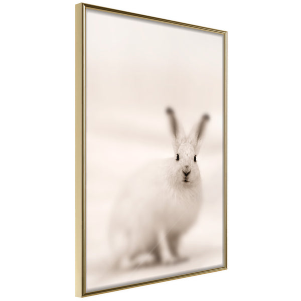 Poster - Curious Rabbit  - goud