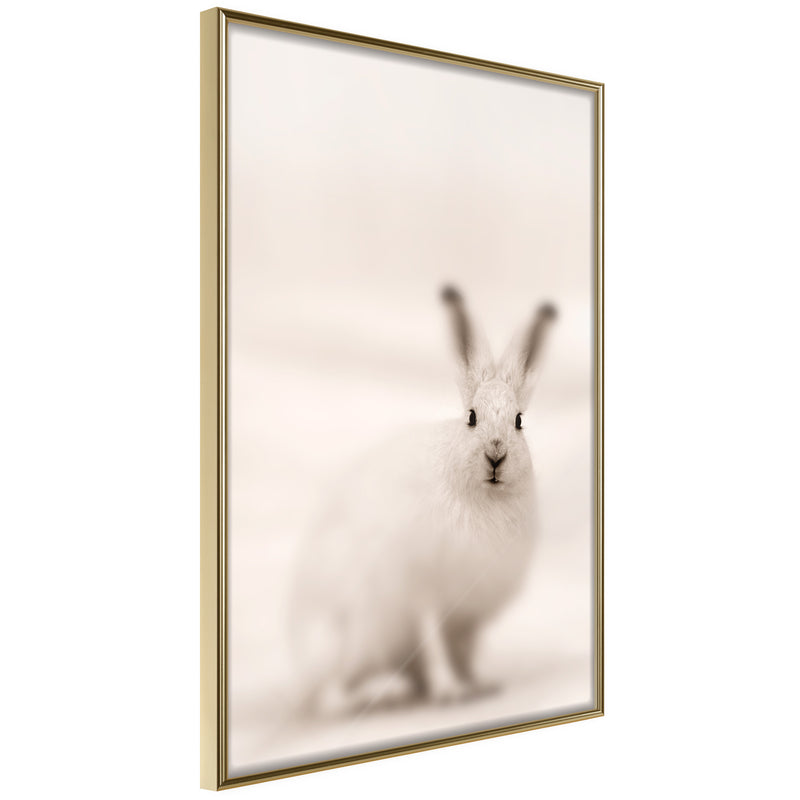 Poster - Curious Rabbit  - goud