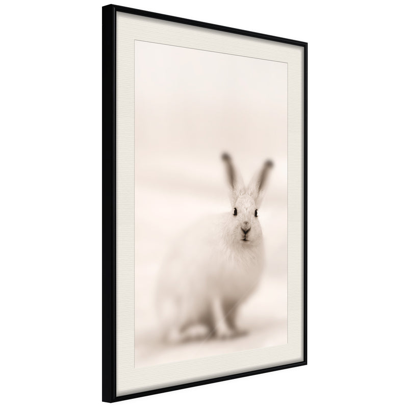 Poster - Curious Rabbit  - zwart passepartout
