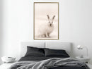 Poster - Curious Rabbit  - goud