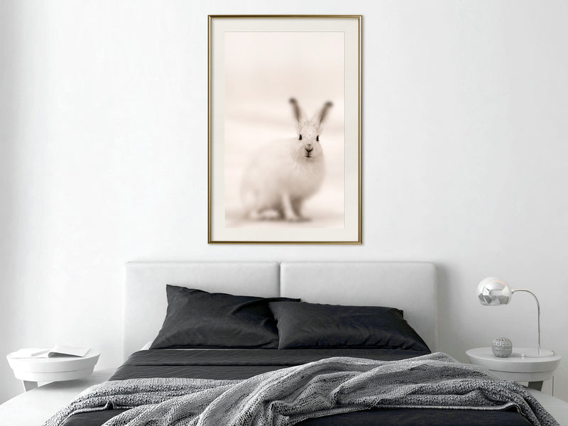 Poster - Curious Rabbit  - goud passepartout