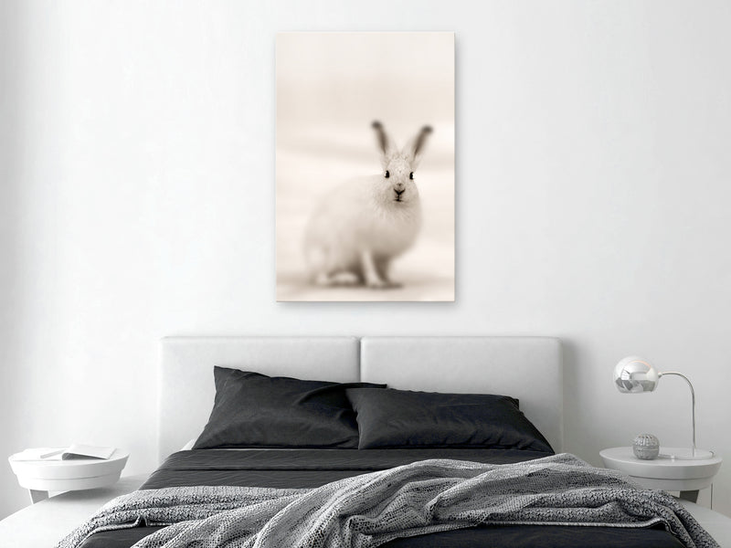 https://www.fotoartgeist.pl/ebaytemp/obrazy1/g-C-0233-b-a/g-C-0233-b-a-w.jpg