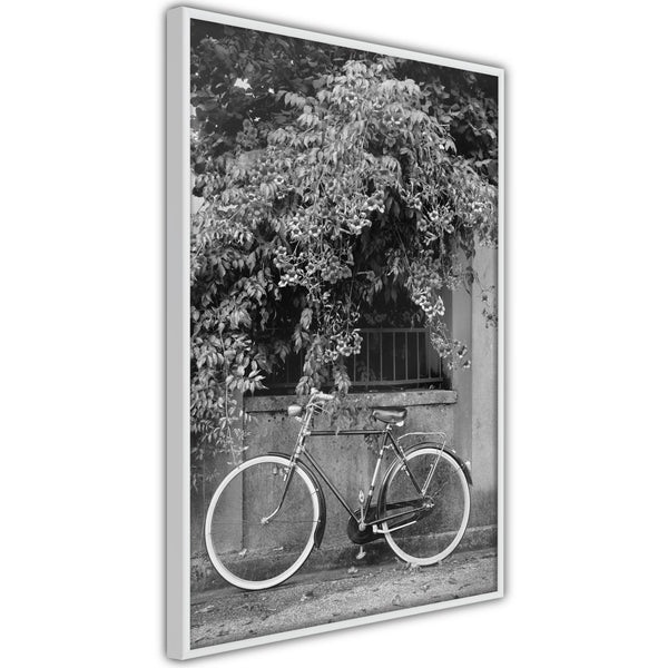 Poster - Bicycle with White Tires  - wit