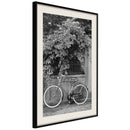 Poster - Bicycle with White Tires  - zwart passepartout