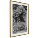 Poster - Bicycle with White Tires  - goud passepartout