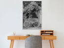 Poster - Bicycle with White Tires  - wit
