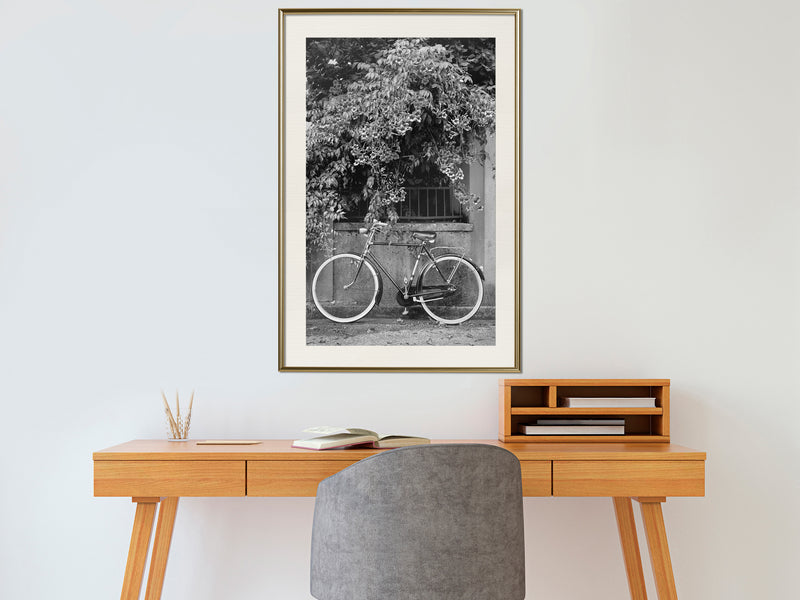 Poster - Bicycle with White Tires  - goud passepartout