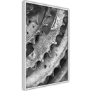 Poster - Sprocket Wheel  - wit