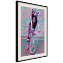 Poster - Extraordinary Cyclist  - zwart passepartout