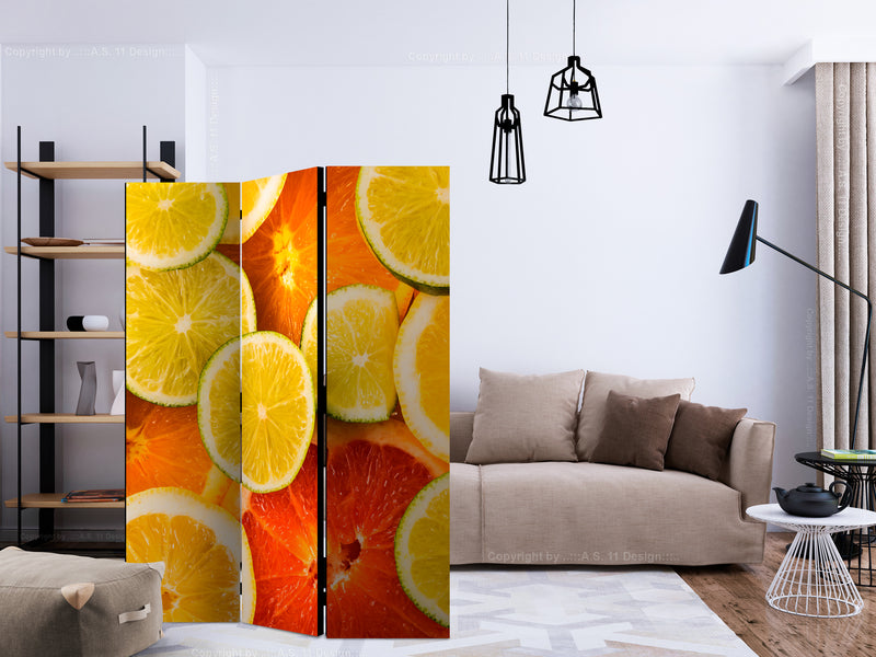 https://www.fotoartgeist.pl/ebaytemp/parawan/j-C-0060-z-b/j-C-0060-z-b-ebVis2.jpg