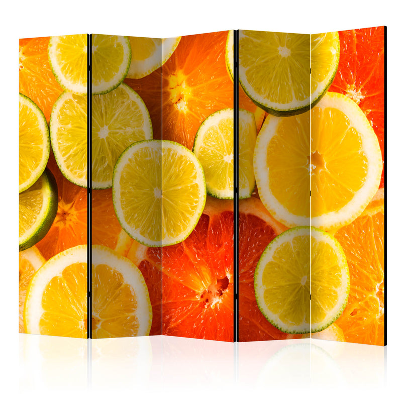 https://www.fotoartgeist.pl/ebaytemp/parawan/j-C-0060-z-c/j-C-0060-z-c-eb1.jpg