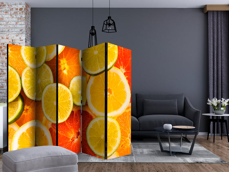 https://www.fotoartgeist.pl/ebaytemp/parawan/j-C-0060-z-c/j-C-0060-z-c-ebVis2.jpg