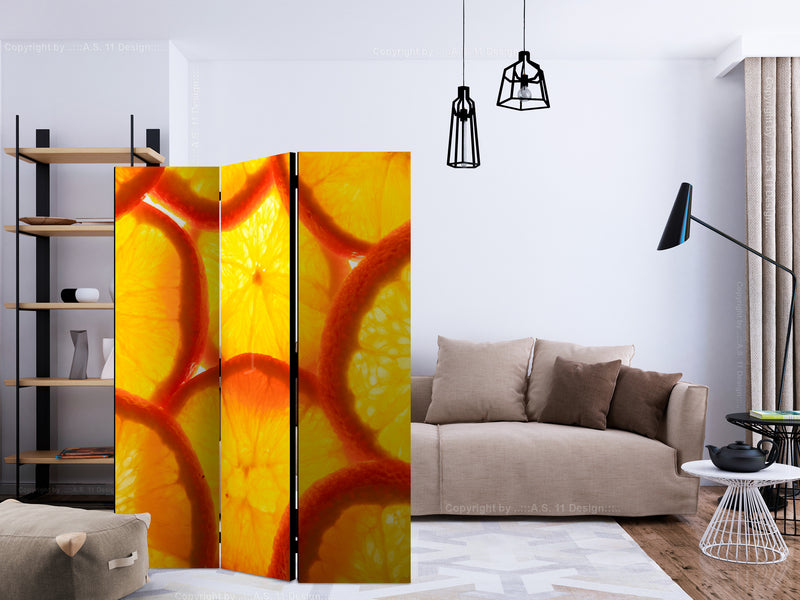 https://www.fotoartgeist.pl/ebaytemp/parawan/j-C-0062-z-b/j-C-0062-z-b-ebVis2.jpg