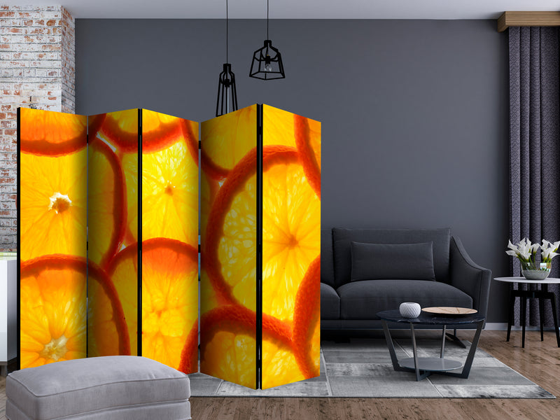 https://www.fotoartgeist.pl/ebaytemp/parawan/j-C-0062-z-c/j-C-0062-z-c-ebVis2.jpg