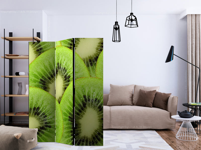 https://www.fotoartgeist.pl/ebaytemp/parawan/j-C-0066-z-b/j-C-0066-z-b-ebVis2.jpg