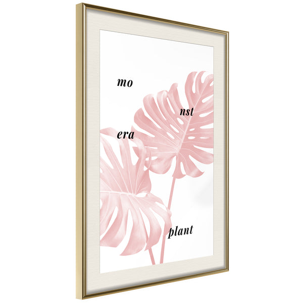 Poster - Pale Pink Monstera  - goud passepartout
