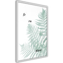 Poster - Pale Green Fern  - wit