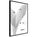 Poster - Calathea Leaves  - zwart