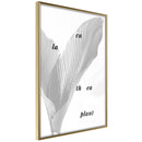 Poster - Calathea Leaves  - goud