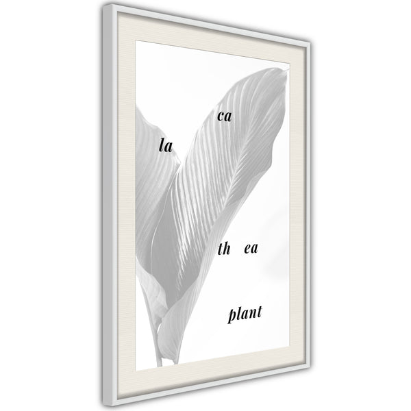 Poster - Calathea Leaves  - wit passepartout