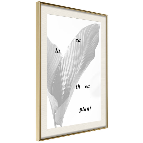 Poster - Calathea Leaves  - goud passepartout