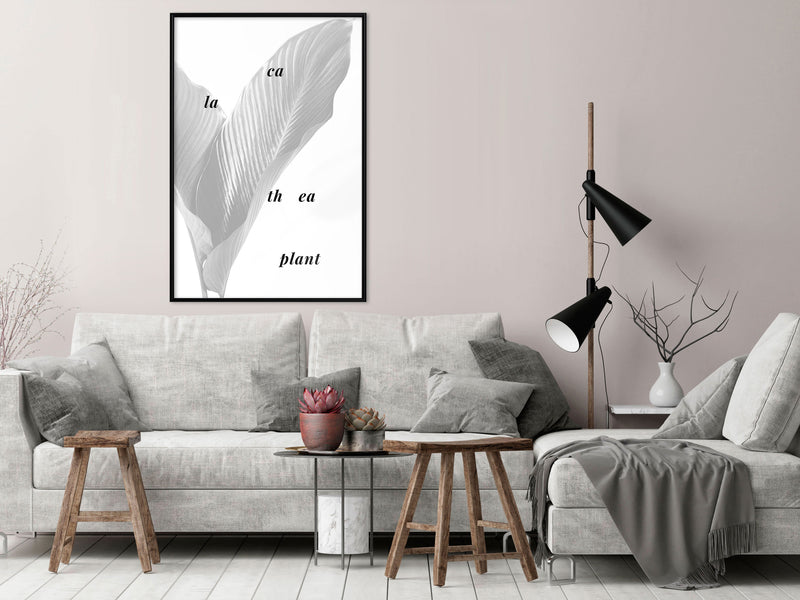 Poster - Calathea Leaves  - zwart