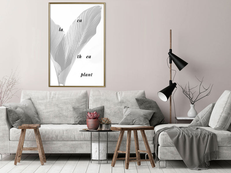 Poster - Calathea Leaves  - goud