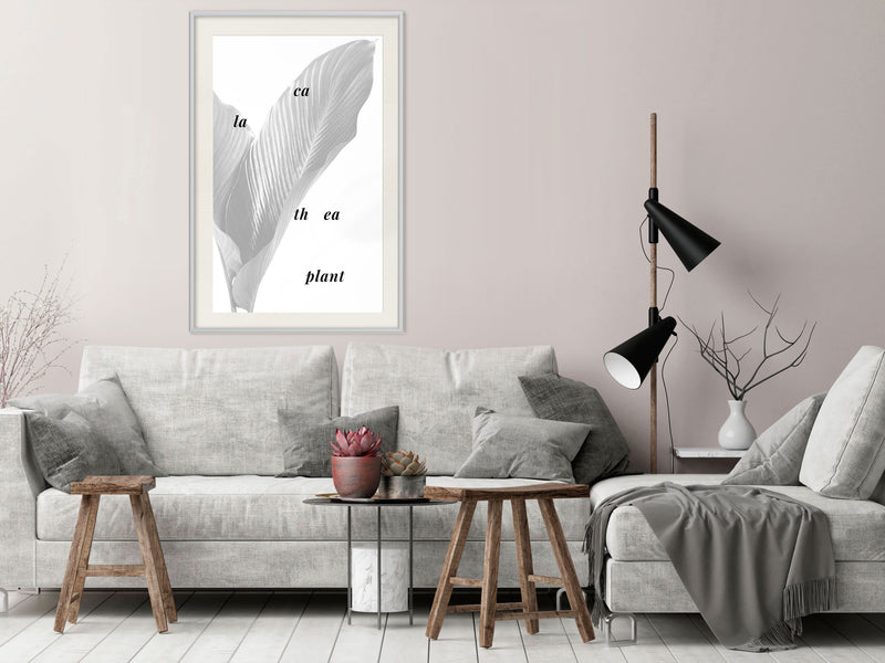 Poster - Calathea Leaves  - wit passepartout