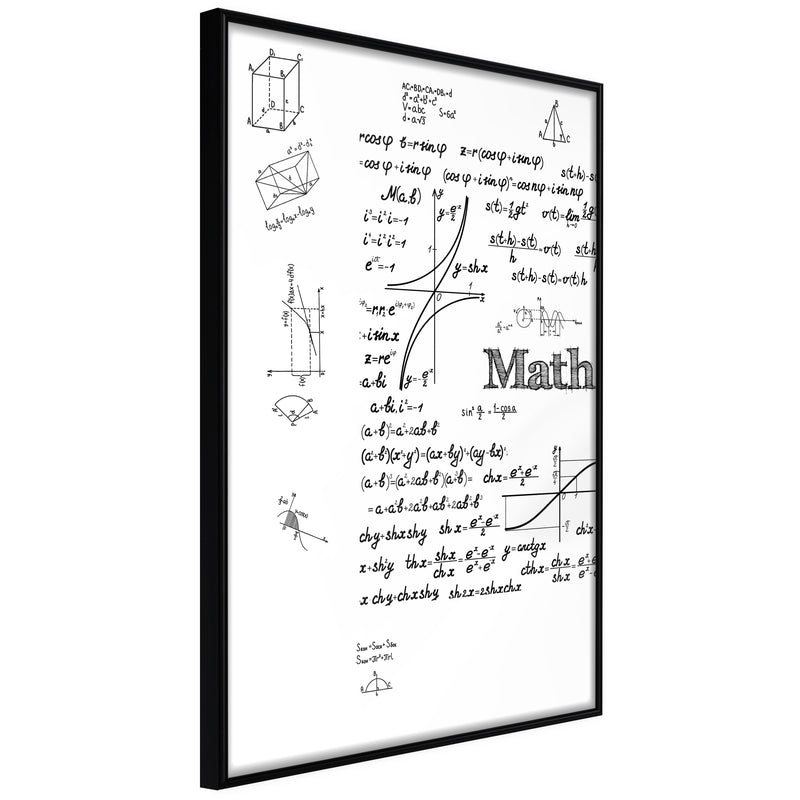 Poster - Math Formulas  - zwart