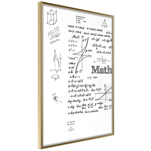 Poster - Math Formulas  - goud