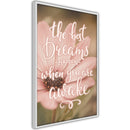 Poster - The Best Dreams  - wit