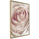 Poster - Rose with a Message   - goud
