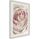 Poster - Rose with a Message   - wit passepartout