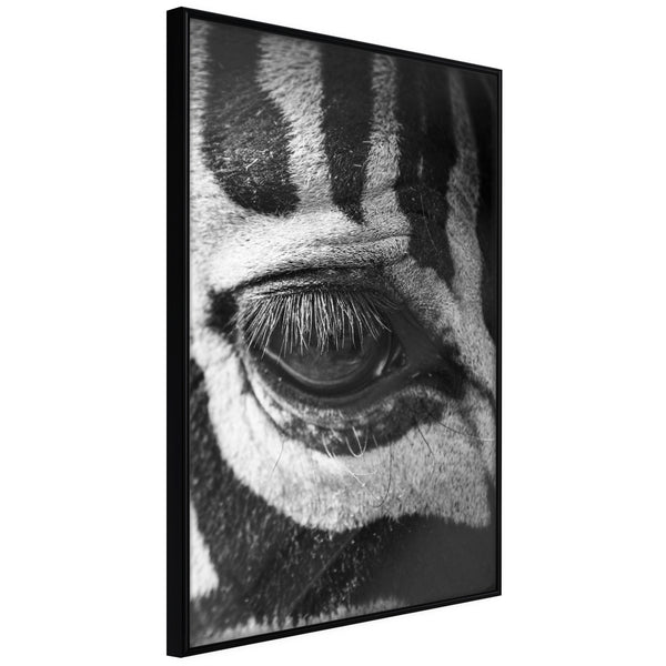 Poster - Zebra Is Watching You  - zwart