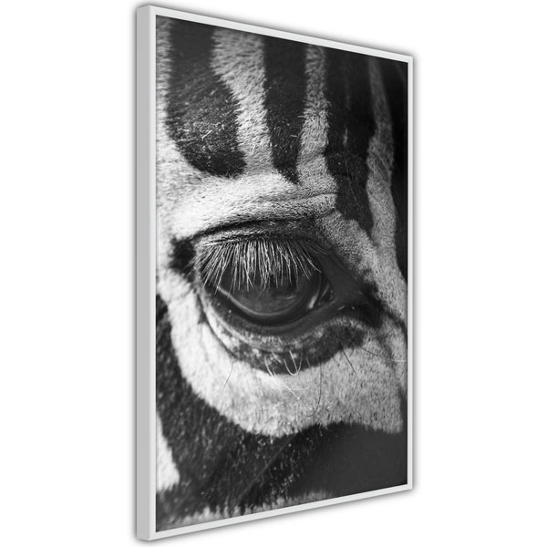Poster - Zebra Is Watching You  - wit