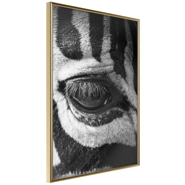 Poster - Zebra Is Watching You  - goud