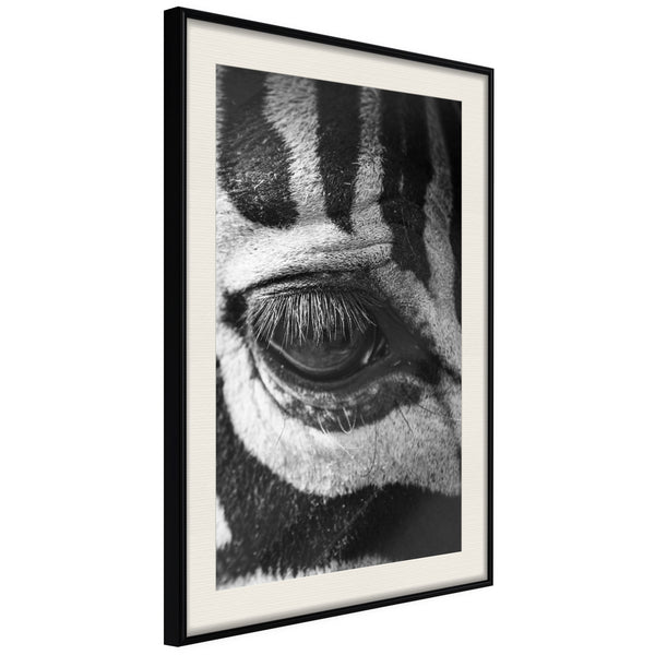 Poster - Zebra Is Watching You  - zwart passepartout