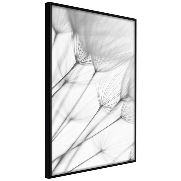 Poster - Gentle Blow  - zwart