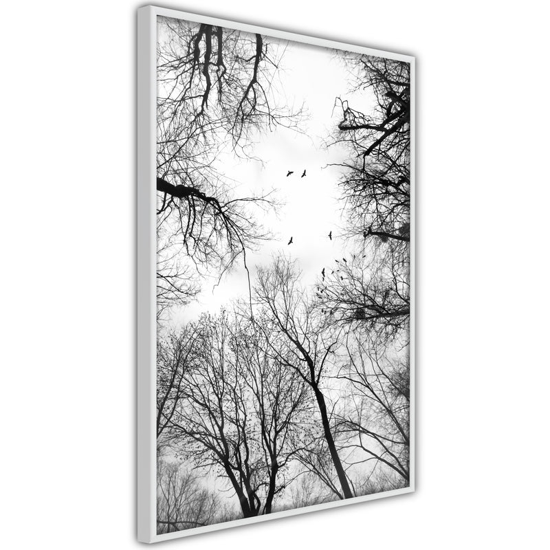 Poster - Treetops  - wit