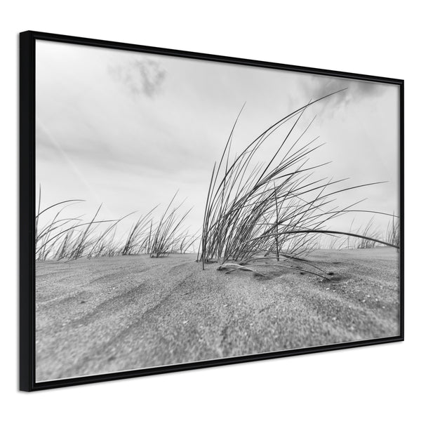 Poster - Seaside Dunes  - zwart